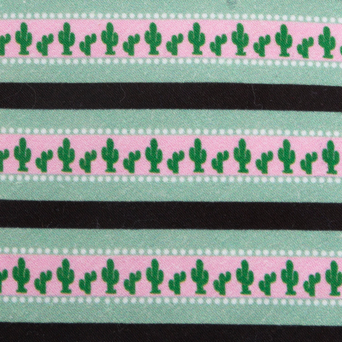 Texas Cactus Stripe Sage Men's Tie
